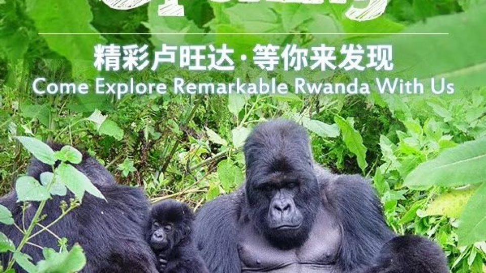 chinese tourist buy rwandan package on alibaba