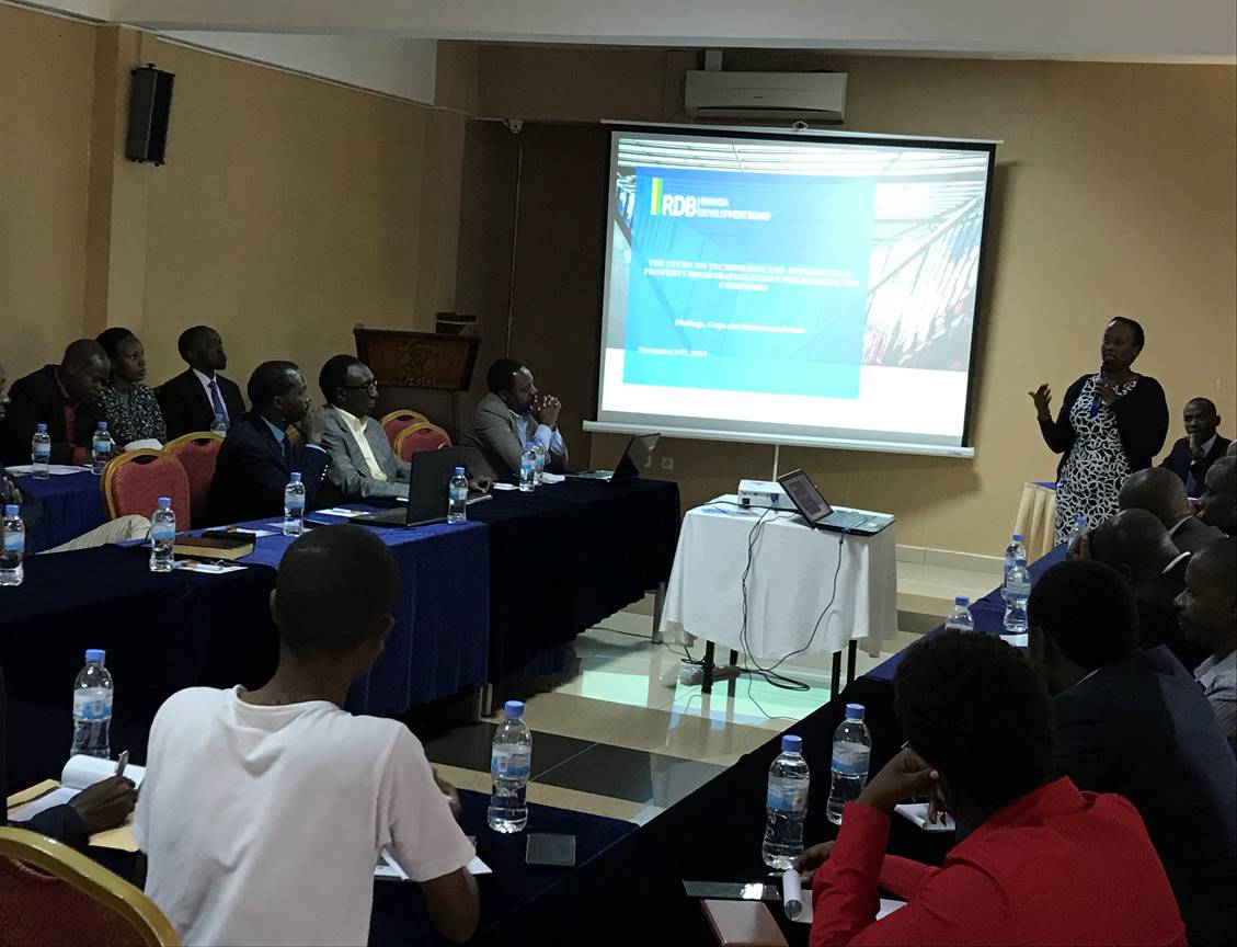 RDB presents findings on innovation and Intellectual Property study