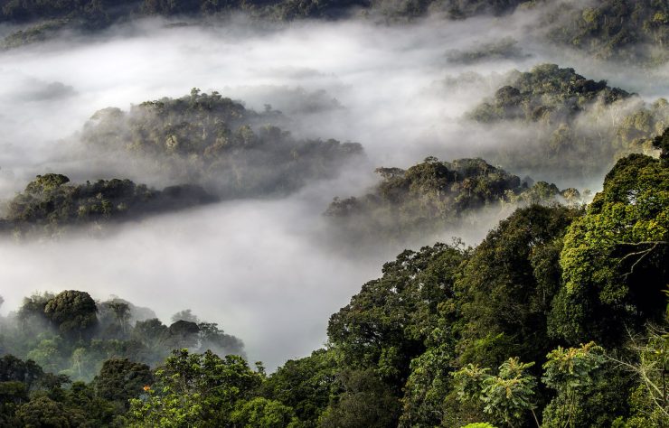 35298816195_f530be5417_k