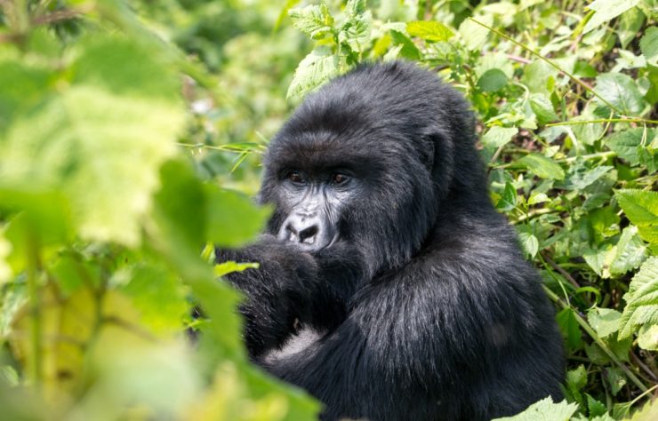 WhatsApp Image 2020-11-17 at 15.38.04