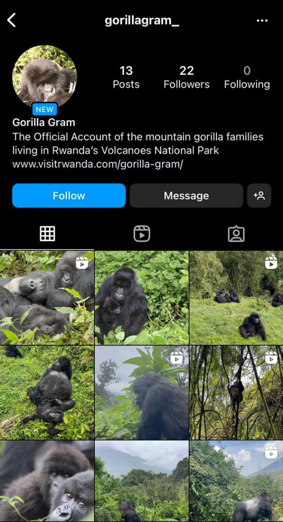 Gorilla Gram Launch