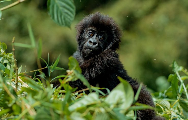 WhatsApp Image 2025-08-06 at 12.21.18