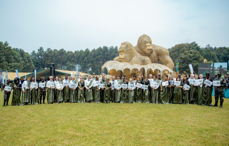 WhatsApp Image 2025-09-05 at 18.35.53