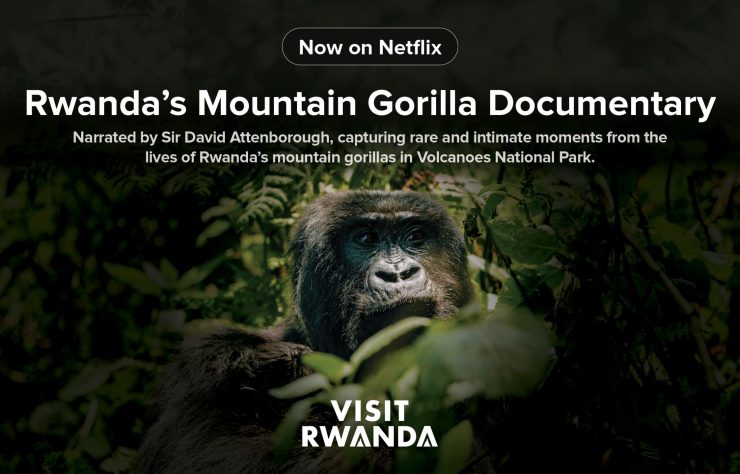 WhatsApp Image 2026-04-17 at 12.22.58